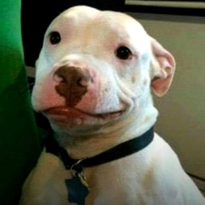 angelrenne_'s profile picture. 