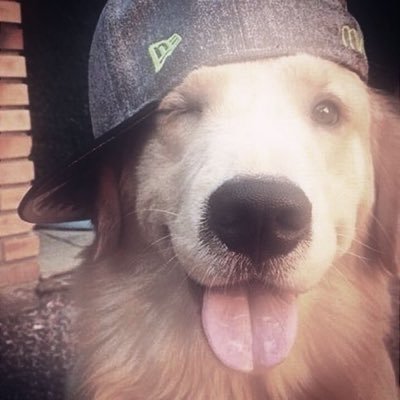 mamka_Marta's profile picture. Heh...you could say Im pretty 𝓯𝓻𝓮𝓪𝓴𝔂... Fuck Elon musk | 🔞| Im not that much active but ill try to be..?