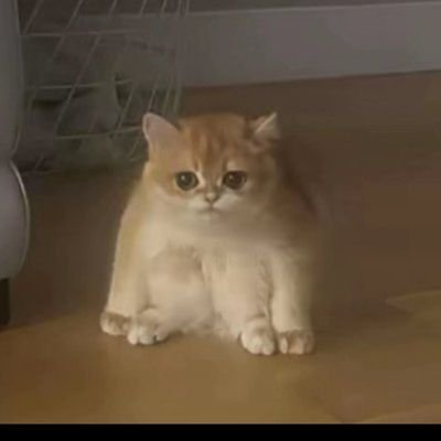 _Nobleman01's profile picture. With God everything is possible