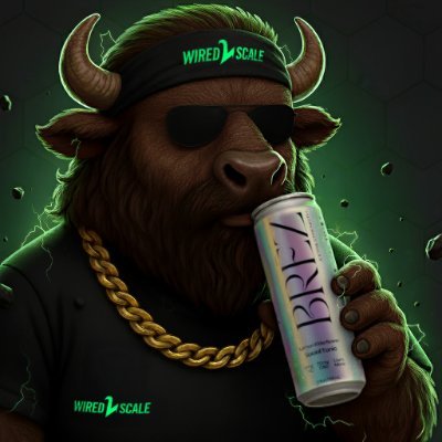 buffalofink's profile picture. #1 Growth Marketer Newsletter https://t.co/a3FPHemm7s | Head of Paid Acquistion at BRĒZ | $800M+ Of Paid Spend. Father of 8.