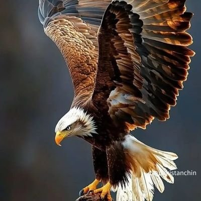 kylok15428547's profile picture. 📣GOLD+BTC+FOREX Signals(FREE)
🚨Telegram::
https://t.co/VjsJ4c3p5S

#BTC #parfect $signal

$EURUSD
$USDPLN