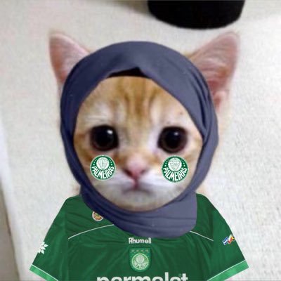 suricidal's profile picture. #1 crouching tiger hidden dragon fan | @arsenal @palmeiras