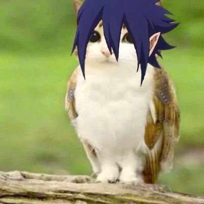 Lurdeverse's profile picture. art acc only: @Lurdeart

banner by: @Airisice