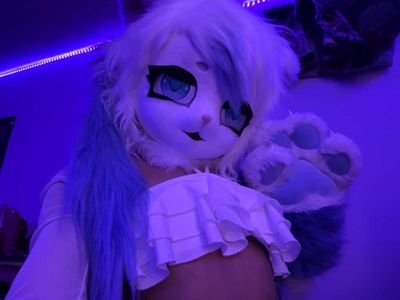 RoxiiPawz's profile picture. Scene-fur Roxii✰👾🍃
🔞NO MINORS🔞
lv20✰she/they✰Bi
⊱fun sized 4'11 fox ( •̀ ω •́ )⊰ 
I appreciate any support I get 🫶🫶
🔞Fansly and socials⬇️🌶🔥