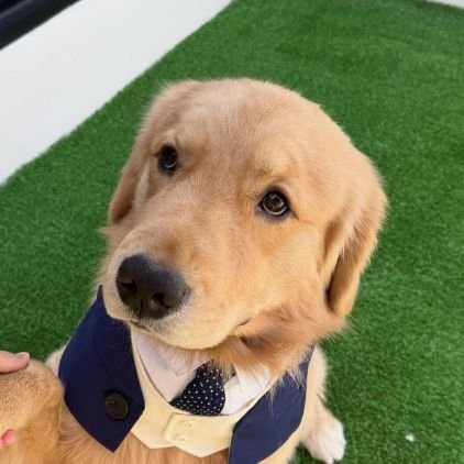 mmilkjira_ppw's profile picture. 𝗜 𝘀𝘂𝗽𝗽𝗼𝗿𝘁 𝗧𝗿𝗶𝗽𝗽𝗹𝗲 𝗣 𝗳𝗮𝗺𝗶𝗹𝘆 : ᴘᴏɴᴅᴘʜᴜᴡɪɴ & ᴘᴇʀᴍᴘᴏᴏɴ (พี่สาวของปอนด์ภูวินทร์ แต่เป็นอุนย่าของพี่เพิ่มพูน)