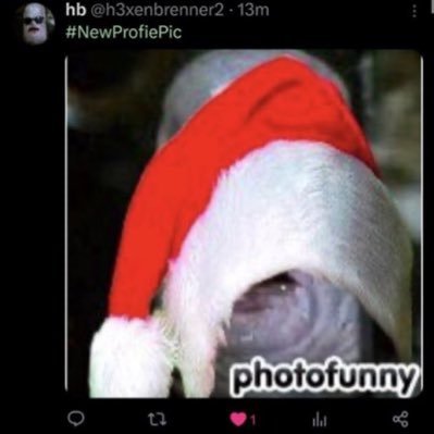 h3xenbrenner2's profile picture. don't overthink it