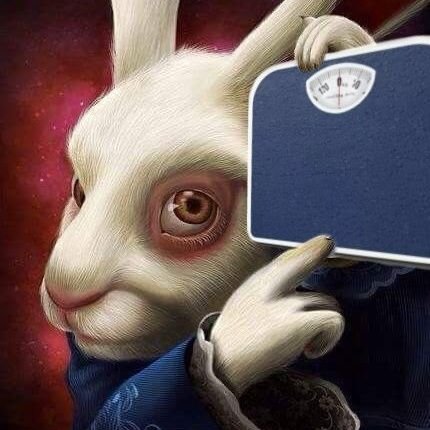 kombdivade's profile picture. competitive programming and baddie loving