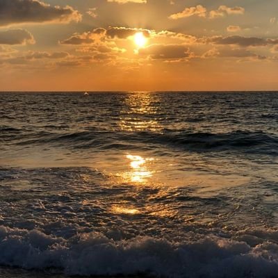 joshbross433's profile picture. 