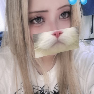 tommy1224vv's profile picture. 