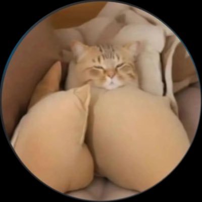 scutumprimum's profile picture. Un día de repente, me enamoré de ti.