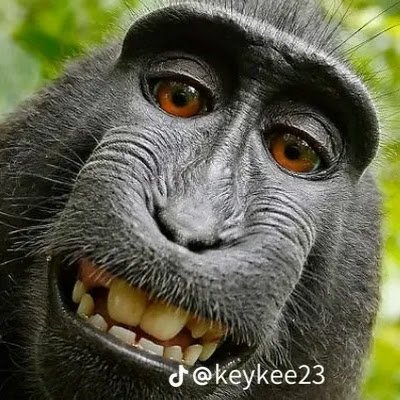 vks_nath69608's profile picture. 