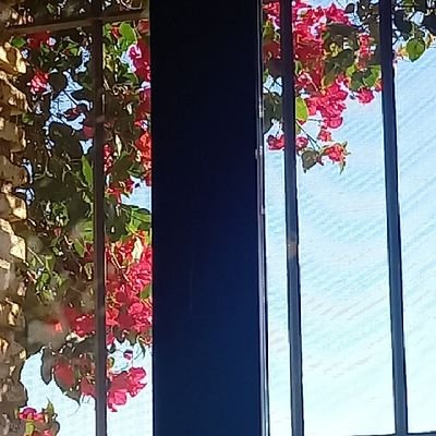 PilarJimen42496's profile picture. 