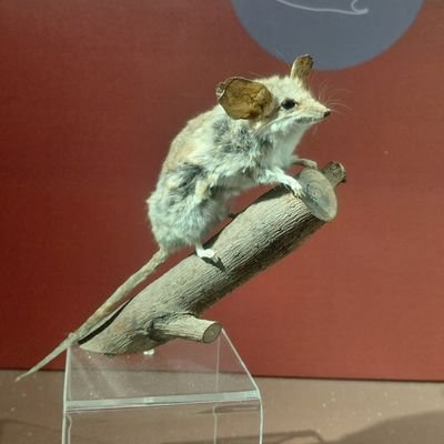 AnaSofiaIn86383's profile picture. 25 | Estudio química y veo películas.