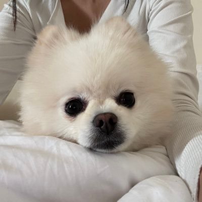 tulinsaccount's profile picture. Medical physics student at @_PNU_KSA minoring in environmental health and safety #ScienceandTechnology #ScientificResearch