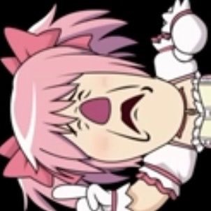 zhoneyinbear's profile picture. 