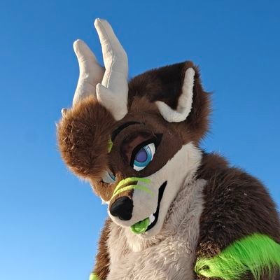 Yuruwolf's profile picture. Male /  🇧🇻  Norway / Deer-Wolf

Want to know more? 
Ask me 💚 

TikTok:  https://t.co/OrwLTaeGtJ