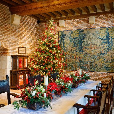 closluce's profile picture. Compte officiel du Château du Clos Lucé - Parc Leonardo da Vinci, demeure de Léonard de Vinci à #Amboise dans le Val de Loire | #closlucé