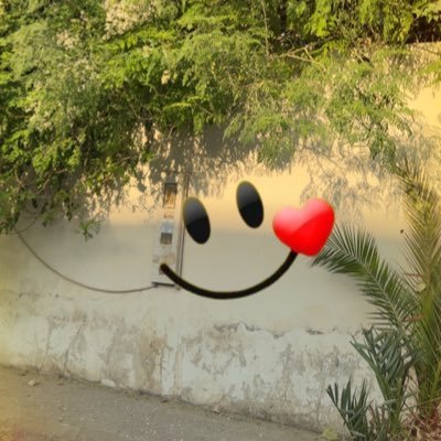 rafaelnq4141's profile picture. 