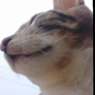 emekairoab's profile picture. I'm Crypto...I'm Blockchain
   Science geek
AI/LLM...Blockchain network... Fusion reactors....Hacking ...
interested and invested in all things science and tech