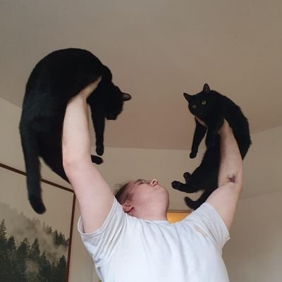 mirandrom's profile picture. PhD @Mila_Quebec working on science⇄llms