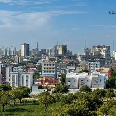 Abdikani_12's profile picture. Great things start from small beginnings