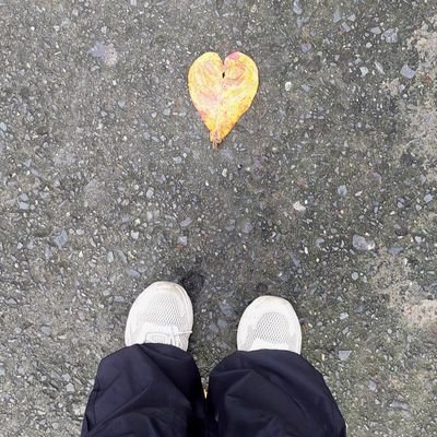 notyourjeaannyy's profile picture. INFJ | ⚕️RPh | ⌬ | 𝔢𝔯𝔦𝔱 𝔪𝔦𝔥𝔦 𝔯𝔲𝔯𝔰𝔲𝔰 | 𝓐𝓭 𝓶𝓮𝓵𝓲𝓸𝓻𝓪 | SVT 💎