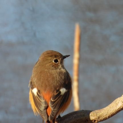 DFxc2zEpmQ24792's profile picture. 