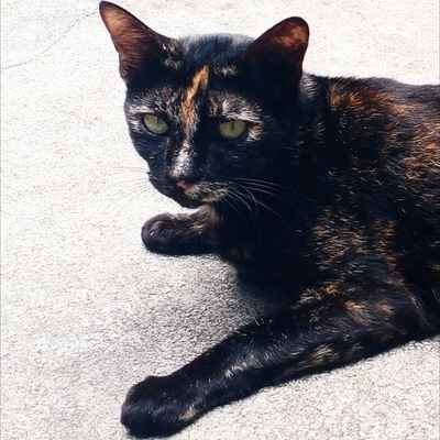 CrabbyP35702's profile picture. freedom to think