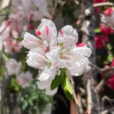 spsp_00000's profile picture. 