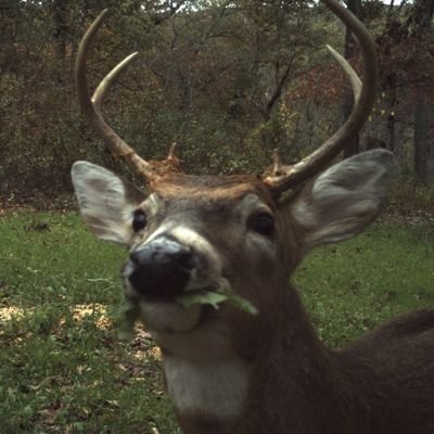 exeresiss's profile picture. rivotril en gotas y humildad en frasco