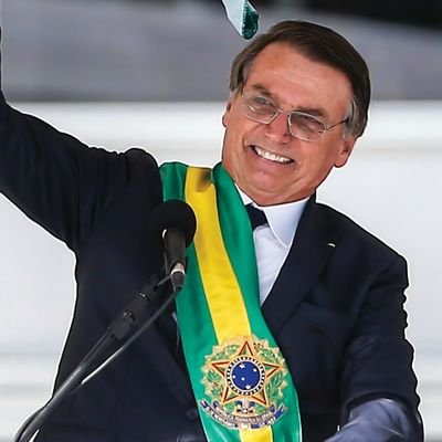 apirolla89's profile picture. Bolsonarista, Apaixonada por SRDs e Gatos, Aficionada em Ler Comentários - Guararapense esposa de paulistano 🇧🇷