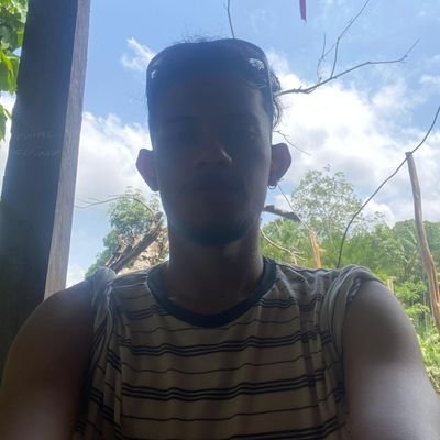 felypesn's profile picture. estudante, ecossocialista do juntos! e paraense