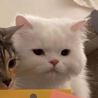 _cgams_'s profile picture. @weareoneEXO | EXO-L | iKonic | CARAT | ยูโร |โดคยองซูและยูโรคือความน่ารักของโลกใบนี้ヾ(*´∀｀*)ﾉ