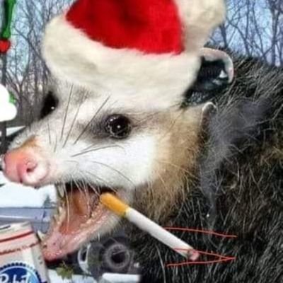 CrustPunk161's profile picture. 