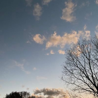 soUltraviolet's profile picture. 