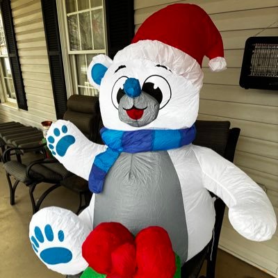 cookiejonilee's profile picture. I am a blue dot in a sea of red. 💙💙💙