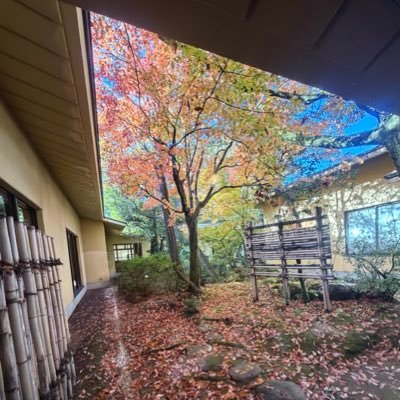 bobochan0505's profile picture. 🎾主に観戦。