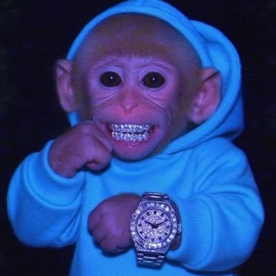 MonkeCoded's profile picture. https://t.co/b18TrTMa2O