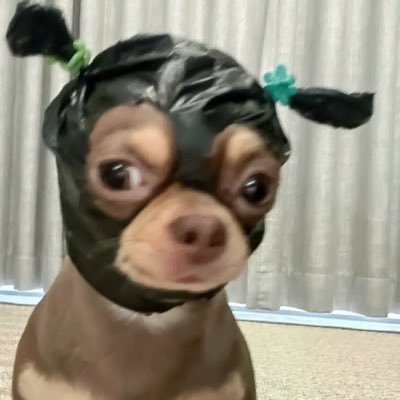 jessicaKanhhu2's profile picture. 