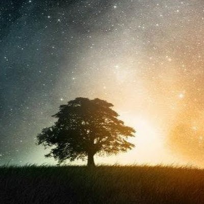 KessonCSW's profile picture. 