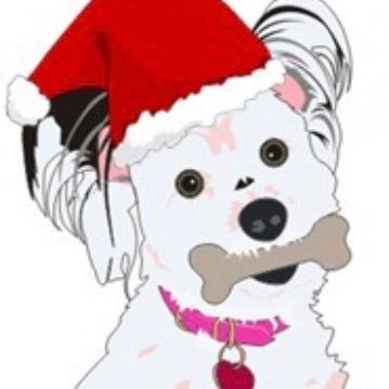 ohanaandfriends's profile picture. Ohana & Friends Pet Sitting provides in-home pet-sitting services for your pampered pet. Serving Santa Clarita, CA & Burbank, CA.