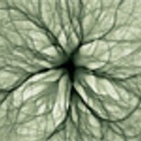 nick flynn (@_nick_flynn_) 's Twitter Profile Photo