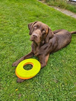 scottydons's profile picture. 