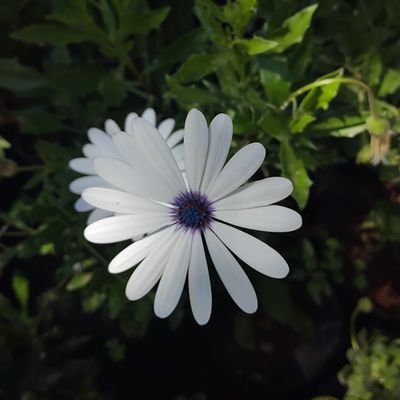 Flozzy_wangui's profile picture. SDET