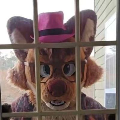 Kingjabbadabutt's profile picture. 22 y/o, Rock/Punk
📍Sevierville, Taken btw :3
🚫Zoo/Peds🚫
🔞Minors=Blocked🔞
Find me at FWA26 and Fizzy Fox Fur Fair