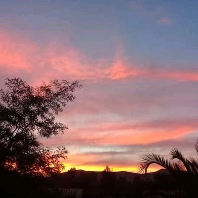 kidd_cudda's profile picture. God is the greatest see you tomorrow.