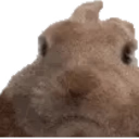 lowkeyripper_'s profile picture. 