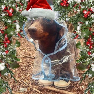 TropFromTheDead's profile picture. dj/producer @mancity