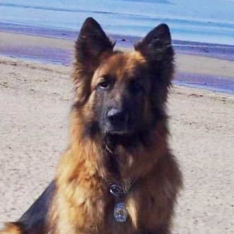 VictorMike41's profile picture. Retired: Not my first rodeo on here. Been away due to circumstances and aphasia (sorry for the spelling etc).