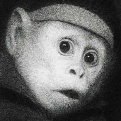 mdnarko's profile picture. Lovely bloke, with some shit going on 👊🏻Ank Spondylitis, Castleman Disease, + then some! Don’t wanna have to worry no more 😊 Check $monke on X TT & Inst.